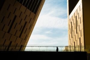 Where Can I Buy My Grand Egyptian Museum Tickets?